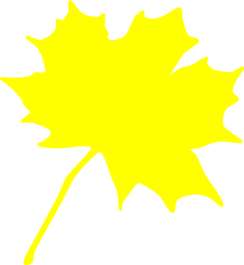 żółty liść